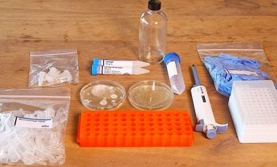 CRISPR test kit