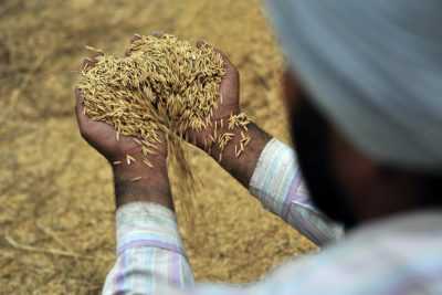 Indian farmers