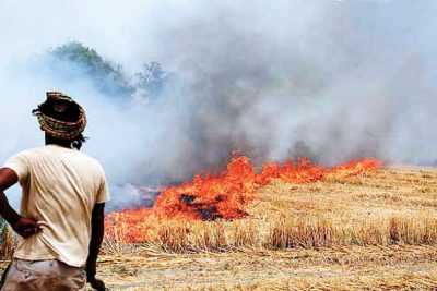 Stubble burning