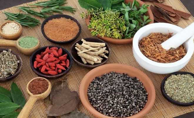 India to get first AYUSH-approved ayurvedic COVID-19 drug