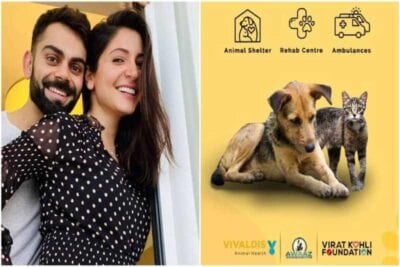 virat kohli anushka sharma animal shelter