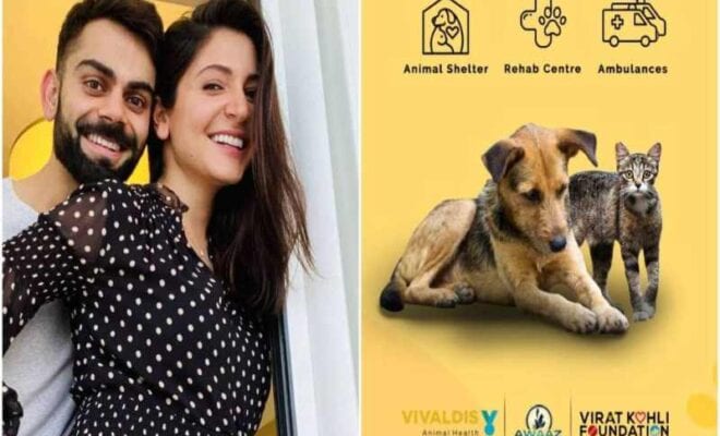 virat kohli anushka sharma animal shelter