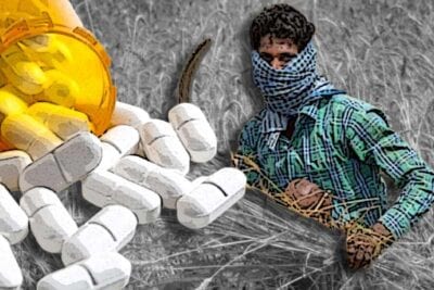bonded laborers being given drugs by punjab farms