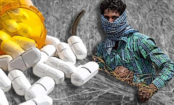 bonded laborers being given drugs by punjab farms