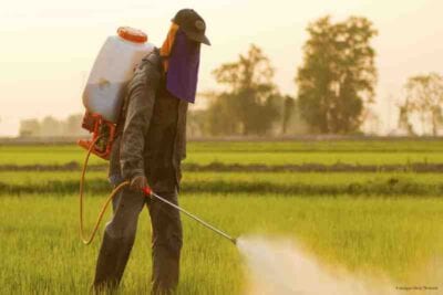 india pesticides