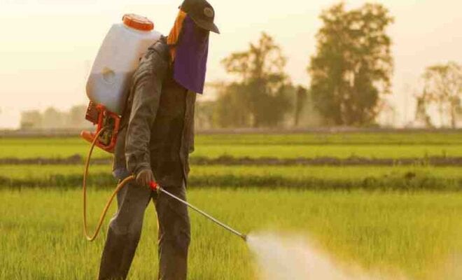 india pesticides