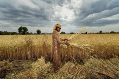 American Bigwigs Seek Access To Farmer Data Towards Privatization Drive