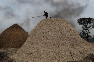 after wheat india to curb sugar exports from next month