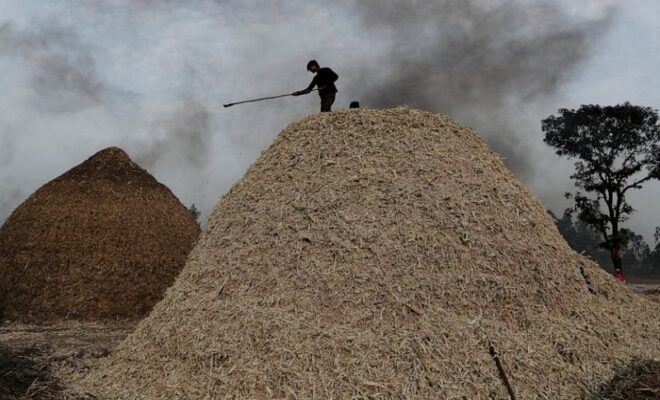 after wheat india to curb sugar exports from next month