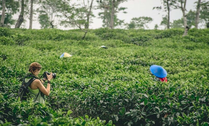 Top 10 Coffee Producing States In India