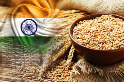 indian wheat export india feeds many countries exports 30 lac tonnes wheat