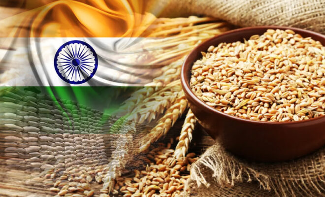 indian wheat export india feeds many countries exports 30 lac tonnes wheat