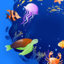 world oceans day 2022 five surprising facts about oceans