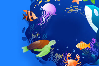 world oceans day 2022 five surprising facts about oceans