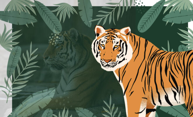 international tiger day 2022 what if all tigers & lions go extinct