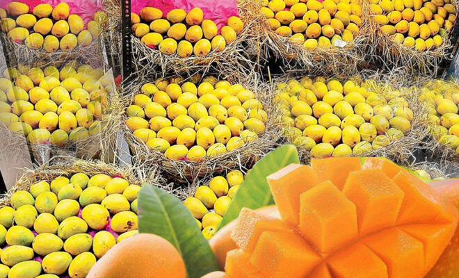 national mango day 2022 not an aam day for the king of fruits