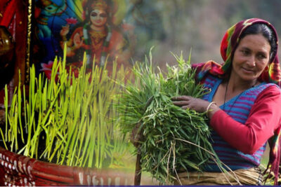 harela festival 2022 15 lakh saplings to plant in uttarakhand