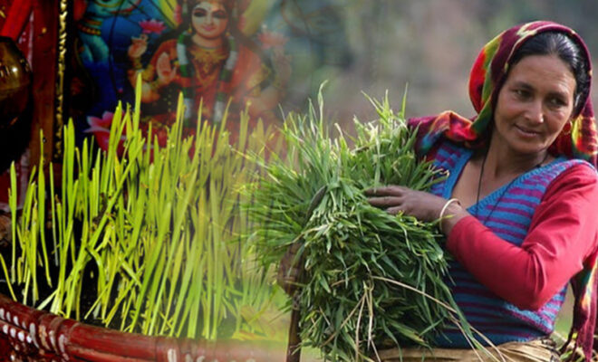 harela festival 2022 15 lakh saplings to plant in uttarakhand