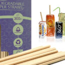 paper or biodegradable straw to use after single use plastic ban
