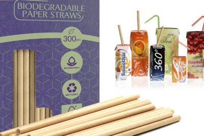 paper or biodegradable straw to use after single use plastic ban