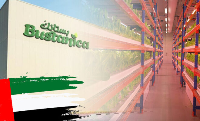 uae’s bustanak the largest vertical farm in the world that adopts hydroponics