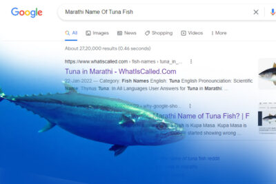 marathi name of tuna fish why are people mocking google