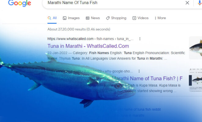 marathi name of tuna fish why are people mocking google