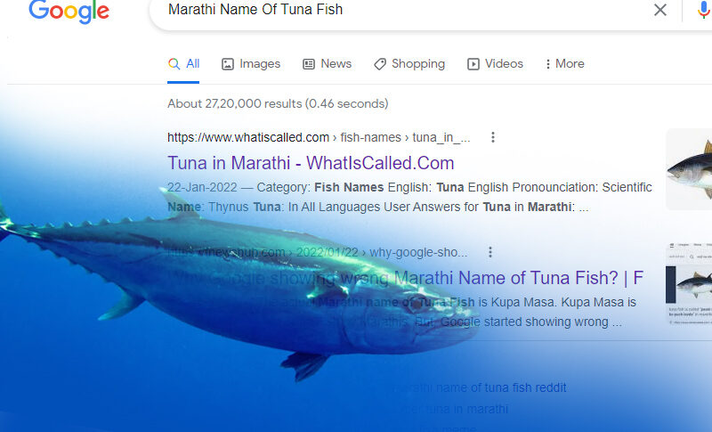 marathi-name-of-tuna-fish-why-are-people-mocking-google