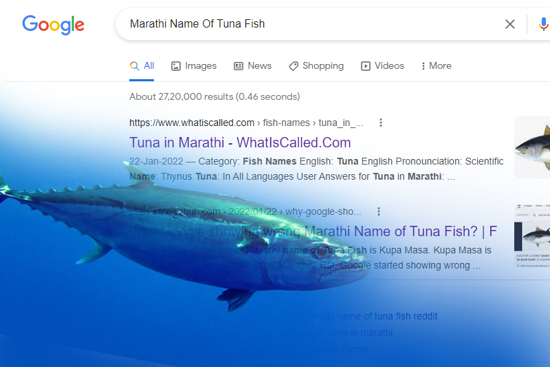 marathi-name-of-tuna-fish-why-are-people-mocking-google