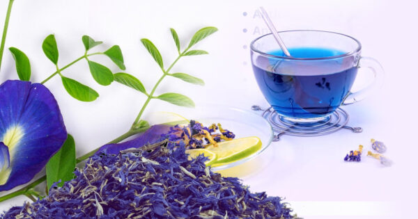 blue tea benefits