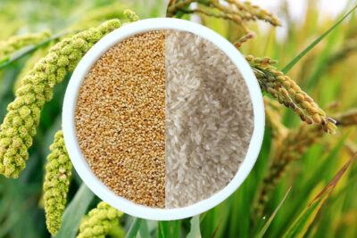 what are the benefits of eating millets instead of rice