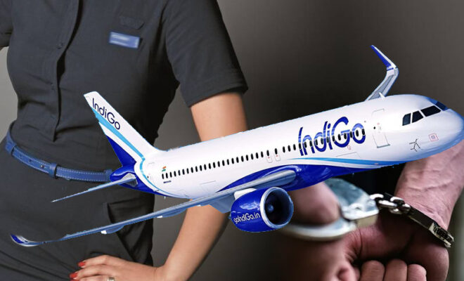 swedish flyer arrested over molesting indigo cabin crew