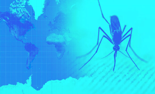 world malaria day 2023 india seizes 66 malaria reduction