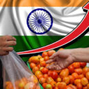 why are tomato prices surging across india when will it come down