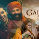 'gadar 2' declared as a blockbuster after collecting ₹135 crore