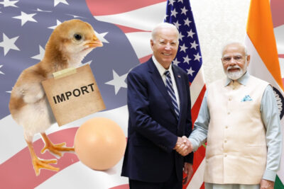 india and the us resolve final chicken and egg wto import dispute