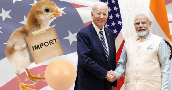 india and the us resolve final chicken and egg wto import dispute