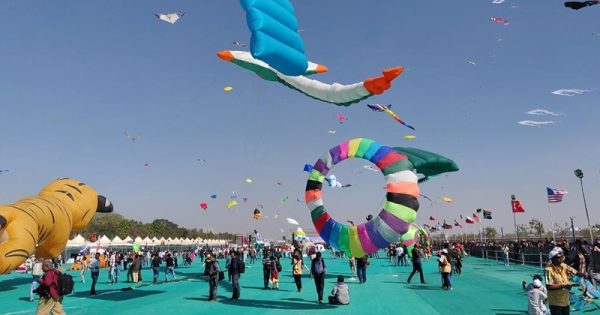 dda's grand celebration patang utsav at baansera