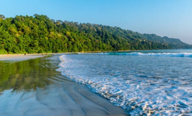 indian beaches witness 200% surge in popularity amidst global interest