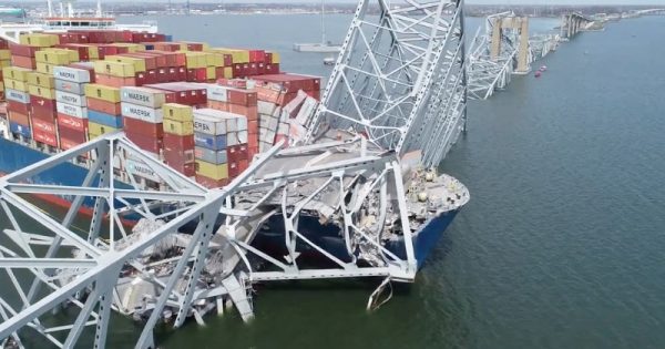 baltimore bridge collapse