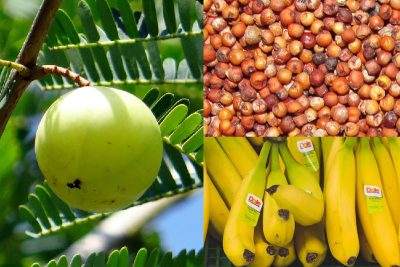 10 indian superfoods