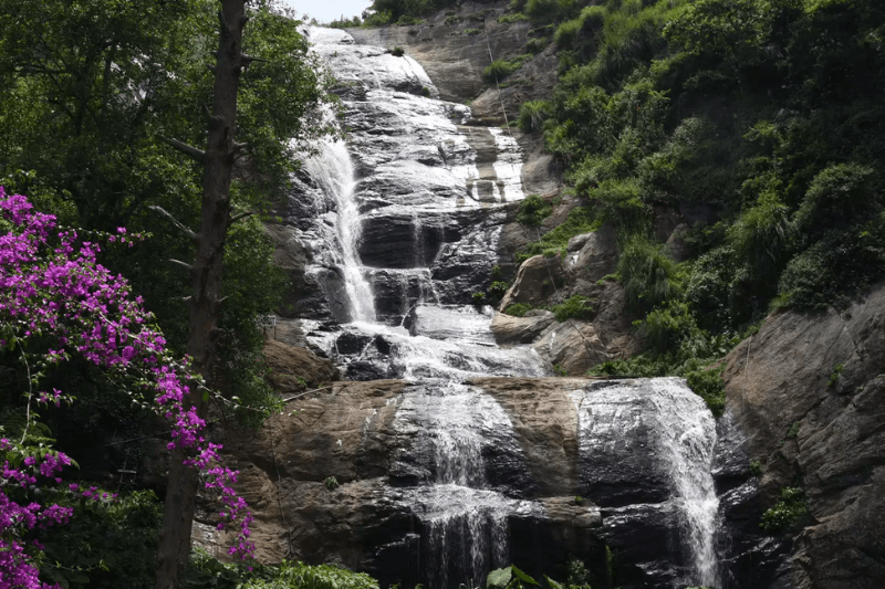 bear shola falls kodaikanal 1