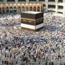 645 deaths in mecca