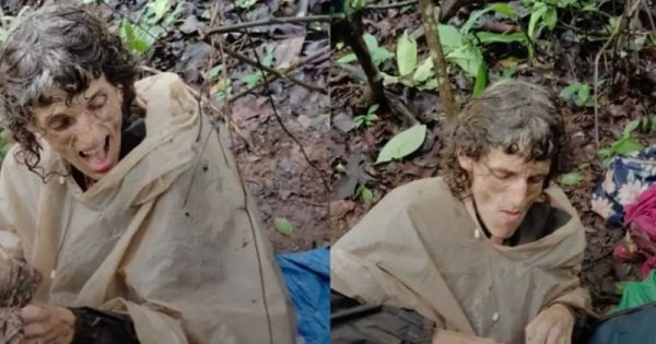 woman found tied to a tree in maharashtra forest