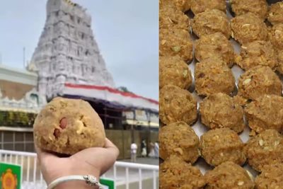 tirupati laddoo