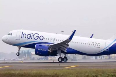 indigo flight