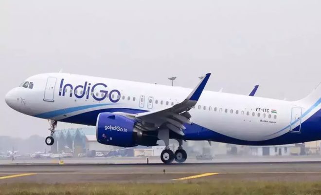 indigo flight