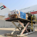 UAE Aid to Lebanon