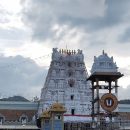 tirupati temple tragedy