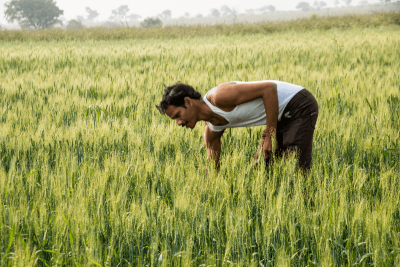 pm kisan samman nidhi 20th installment date